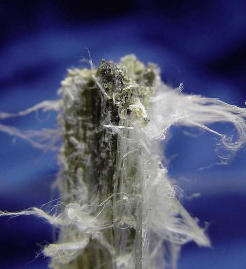 Fibre d'amiante vu par microscope